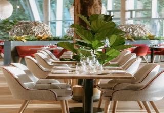 Interno moderno di ristorante al Blue Lodge by YourNature in Belgio, con piante e sedie rosse.