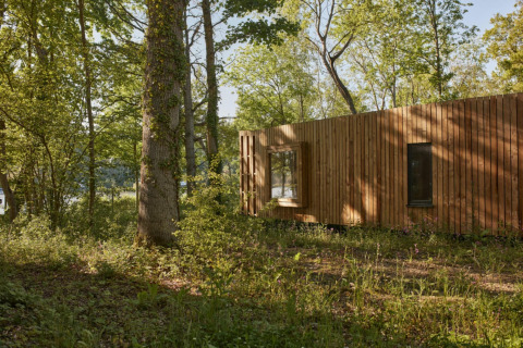 La tiny house The Blue Lodge by YourNature in Belgio, circondata da una foresta verde e luminosa.
