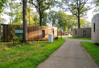 Moderne glampinghytter med træfacader ligger spredt langs en sti i en grøn og skovklædt park.