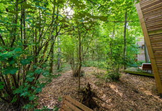 Gemütliches Glamping im Wald bei The Cottage by YourNature mit Terrasse und moderner Holzhütte.