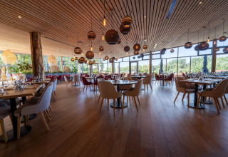 Licht, modern restaurant met houten interieur en grote ramen bij The Cottage by YourNature glamping locatie.