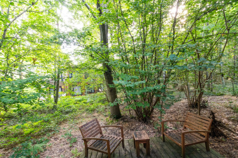 Holzbänke auf einer Terrasse im Wald bei The Cottage by YourNature, Belgien, mit grünem Blätterdach.