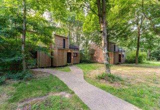 Twee houten huisjes omgeven door een groen bos en een kronkelend pad bij The Cottage by YourNature, België.