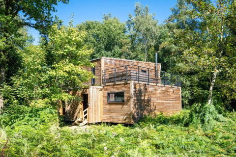 Casa de naturaleza 'The Cottage by YourNature' en Bélgica, una cabaña moderna entre vegetación.