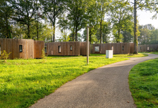 Sti med træbeklædte tiny houses ved The Lodge, YourNature, omgivet af grønne områder og høje træer.