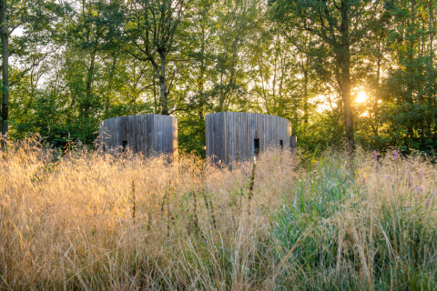Zwei kleine, runde Holzhäuser im Sonnenuntergang, umgeben von hohem Gras und Wald in Belgien.