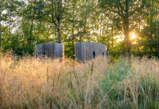 Zwei kleine, runde Holzhäuser im Sonnenuntergang, umgeben von hohem Gras und Wald in Belgien.