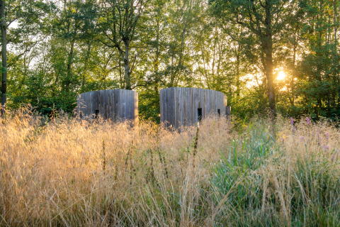 Zwei runde Holzhäuser, The Lodge by YourNature, stehen in hohem Gras und Bäumen bei Sonnenuntergang.