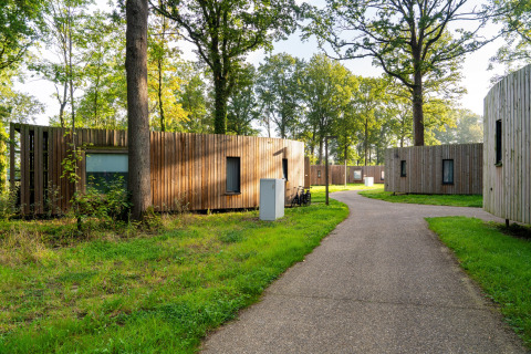 Sti i grøn skov omgivet af træbeklædte tiny houses, The Lodge by YourNature, Belgien, om morgenen.