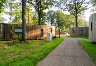 Sti i grøn skov omgivet af træbeklædte tiny houses, The Lodge by YourNature, Belgien, om morgenen.