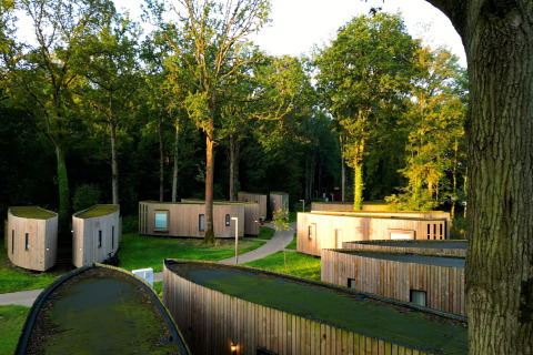Moderne tiny houses beliggende i en frodig skov ved The Lodge by YourNature i Belgien, omgivet af grønt.
