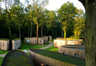 Moderne tiny houses beliggende i en frodig skov ved The Lodge by YourNature i Belgien, omgivet af grønt.