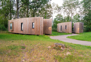 Moderne træhytter i naturen ved The Lodge by YourNature, omgivet af træer i Belgien