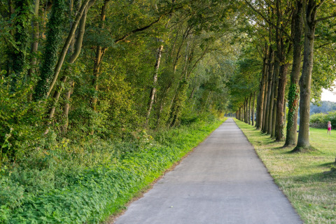 Asfalteret sti omgivet af grøn skov og træer ved glamping, med en person der går i det fjerne.