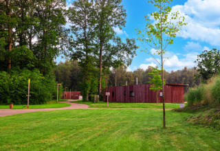 Die Easy Accessible Leaf Lodge von YourNature steht inmitten grüner Wiesen und dichter Bäume.