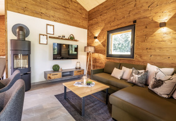 Soggiorno moderno del Chalet 'Bungalow' in Germania con pareti in legno e stufa a legna.