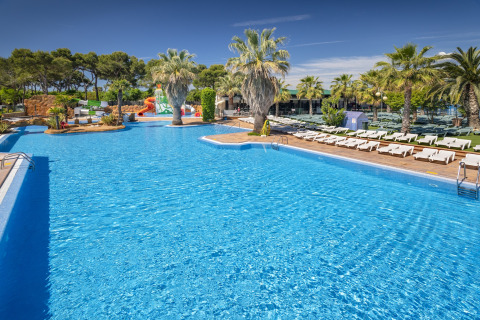 Ampia piscina all'aperto con palme, lettini e scivoli presso una sistemazione glamping alla luce del sole.