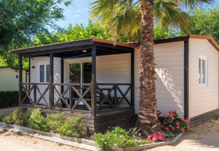Stacaravan bij 'Camping Solmar - XALET CONFORT' in Spanje, met veranda, palmboom en kleurrijke bloemen ervoor.