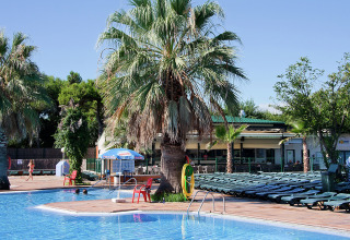 Zwembad en palmbomen bij Camping Solmar - XALET CONFORT mobilhome in Spanje op een zonnige dag