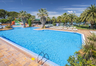 Swimmingpool med palmer og liggestole på Camping Solmar - XALET i Spanien, ideel til afslapning og feriehygge.