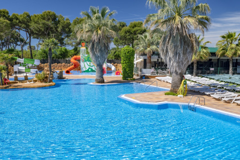 Udendørs swimmingpool med palmer, liggestole og vandrutsjebane på et glamping sted om sommeren.