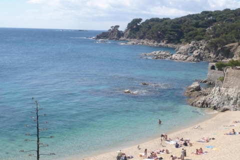 Plage pittoresque avec eaux claires, falaises et pins, vue depuis un hébergement glamping en bord de mer.