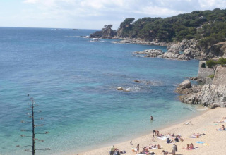 Plage pittoresque avec eaux claires, falaises et pins, vue depuis un hébergement glamping en bord de mer.