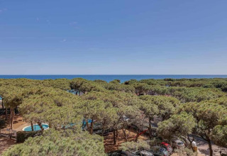 Udsigt over grønne trætoppe, swimmingpools og havet fra et glampingsted under en klar blå himmel.