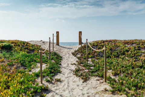 Zandpad met touwafscheiding leidt door groen naar het strand bij Miramar Mobile home CINQUE TERRE in Spanje.