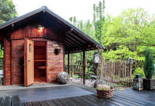 Gezellig houten chalet Remschweiler in Frankrijk, omringd door groen en bomen, met open deur.