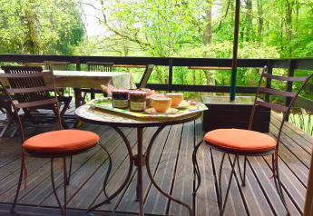 Udendørs terrasse ved chalet Remschweiler i Frankrig med stole, bord og syltetøj omringet af grøn skov.
