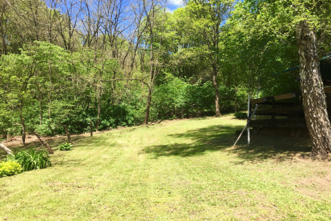 Grasveld en bomen bij chalet Remschweiler in Frankrijk, omringd door bos en een zonnige hemel.