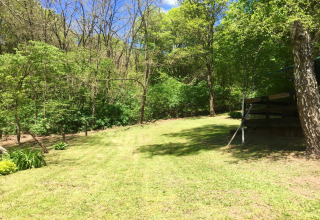 Grasveld en bomen bij chalet Remschweiler in Frankrijk, omringd door bos en een zonnige hemel.