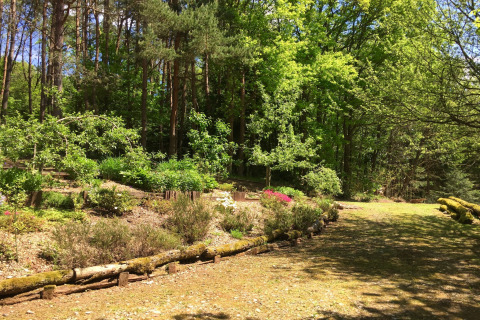 Zonnige tuin bij chalet Remschweiler in Frankrijk, omgeven door bomen en groene beplanting.