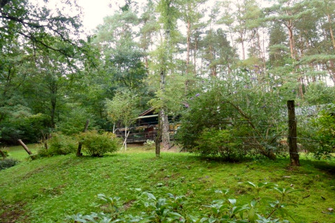 Vue du chalet Remschweiler en France, dissimulé parmi la végétation luxuriante et les grands arbres.