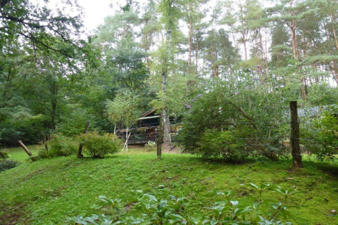 Uitzicht op chalet Remschweiler in Frankrijk, verscholen tussen weelderig groen en hoge bomen.