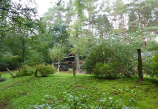 Uitzicht op chalet Remschweiler in Frankrijk, verscholen tussen weelderig groen en hoge bomen.