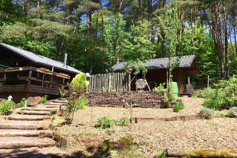 Uitzicht op een chalet in Remschweiler, Frankrijk, omgeven door bos en groene natuur op een zonnige dag.