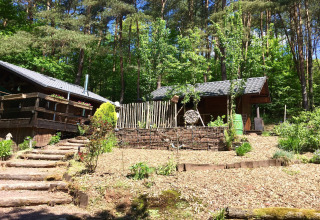 Uitzicht op een chalet in Remschweiler, Frankrijk, omgeven door bos en groene natuur op een zonnige dag.