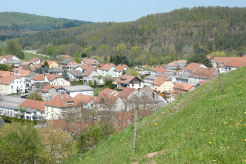 Uitzicht vanuit chalet Remschweiler in Frankrijk, met rode daken, huizen en groene heuvels op de achtergrond.
