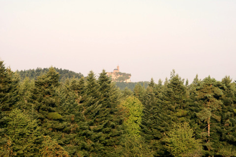 Vue depuis le chalet « Remschweiler » en France : forêt dense et château lointain perché sur une colline.