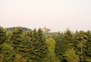 Vue depuis le chalet « Remschweiler » en France : forêt dense et château lointain perché sur une colline.