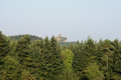Uitzicht vanaf chalet 'Remschweiler' in Frankrijk met dichte bossen en een kasteel op een heuveltop.