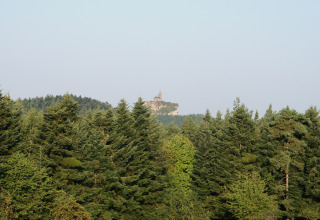 Uitzicht vanaf chalet 'Remschweiler' in Frankrijk met dichte bossen en een kasteel op een heuveltop.