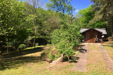 Chalet en bois nommé Remschweiler en France, entouré de verdure et d’arbres sous un ciel bleu.
