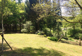 Pelouse ensoleillée entourée d’arbres au chalet Remschweiler en France, cadre naturel paisible.