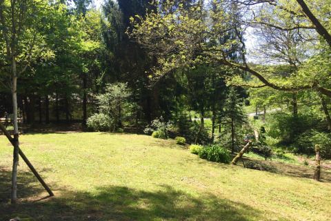Zonnig grasveld omgeven door bomen bij chalet Remschweiler in Frankrijk, rustiek en natuurlijk gebied.