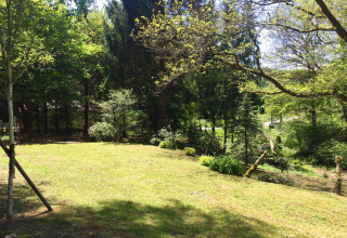 Zonnig grasveld omgeven door bomen bij chalet Remschweiler in Frankrijk, rustiek en natuurlijk gebied.