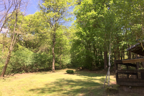 Arbres verts et herbe claire devant un chalet nommé « Remschweiler » en France par une journée ensoleillée.