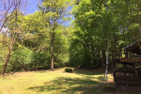 Groene bomen en helder gras voor een chalet genaamd 'Remschweiler' in Frankrijk op een zonnige dag.